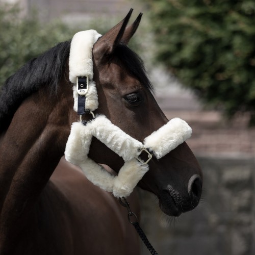 22381_vdb_web_0.jpg