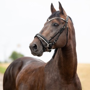 Ogłowie wędzidłowe Grayson Horze