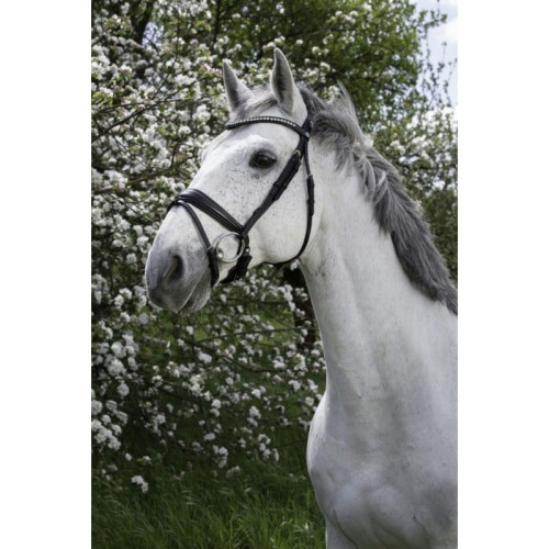 norton-pro-strass-bridle (1).jpg
