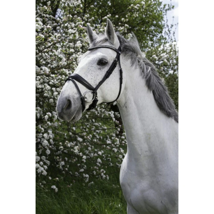 norton-pro-strass-bridle (1).jpg
