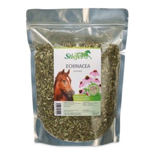 "Echinacea" 500g rozdrobniona, wzmacnia odporność