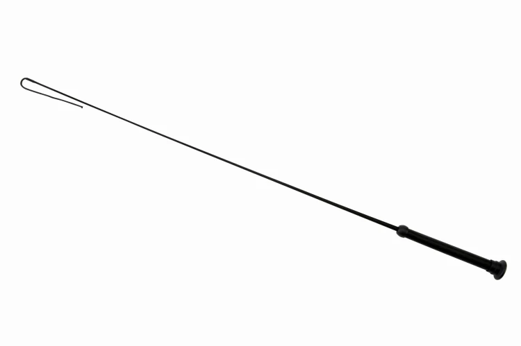 590543-0000-0002.jpg