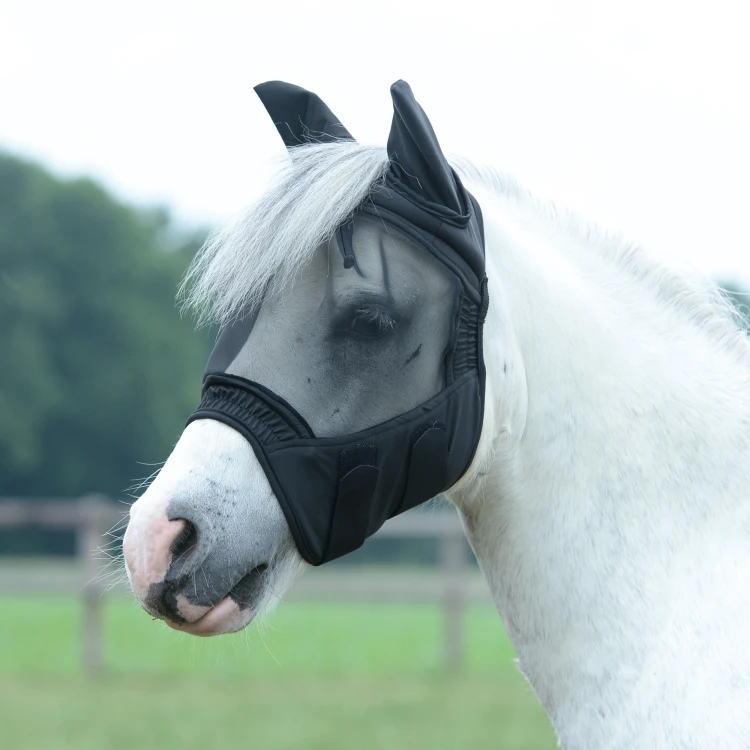 TN633032_040_pony (1).png
