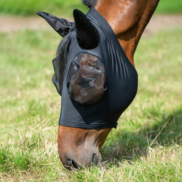 TN633046_040(1).png