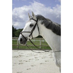 Ogłowie meksykańskie Riding World "Muserolle Croisee" - rozm. FULL - WYSYŁKA 48H