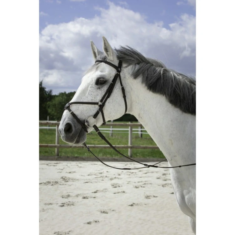 riding-world-muserolle-croisee-bridle (1).jpg