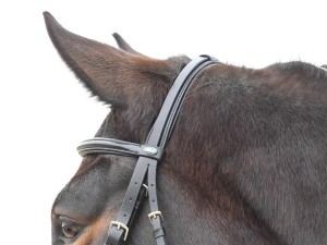 Ogłowie meksykańskie "Mexico II" - rozm. COB - WYSYŁKA 48H