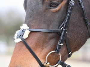 Ogłowie meksykańskie "Mexico II" - rozm. COB - WYSYŁKA 48H