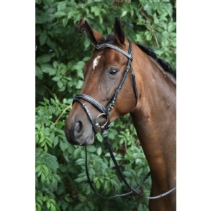 Ogłowie skórzane "Verdi" - rozm. FULL  - WYSYŁKA 48H