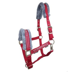 Kantar Horsenjoy Horse Star 