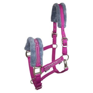 Kantar Horsenjoy Horse Star 