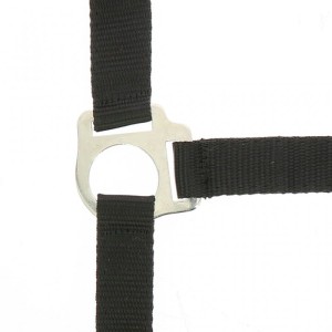 Kantar z uwiązem "CLUB" 