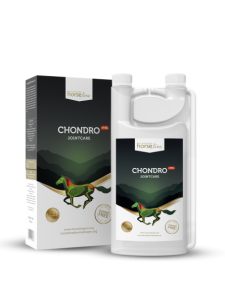 Chondro+HA 2x1000ml