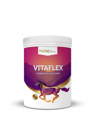 HORSELINE VitaFlex 5kg witaminy i minerały oraz profilaktyka aparatu ruchu u koni
