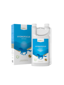 HydroFocus Electrolyte 1000ml