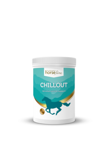 ChillOut 720g