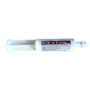 "REK A LYTE" FLASH  elektrolity60ml
