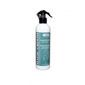 "MAGIC GROOM" suchy szampon  500ml