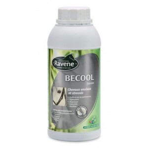 BECOOL RAVENE 500ml