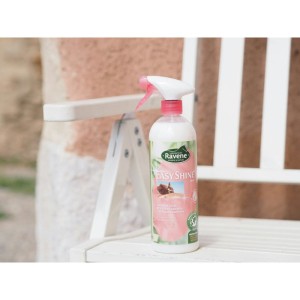 EASY SHINE szybkie usuwanie brudu 750ml