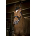 Ogłowie "PRINCESSE"