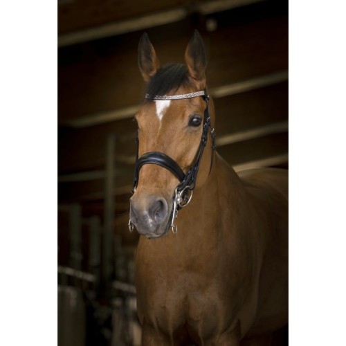 Ogłowie "PRINCESSE"