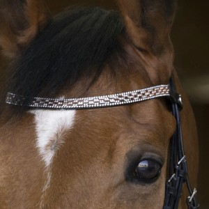 Ogłowie "PRINCESSE"