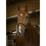 Kantar skórzany "STRASS"