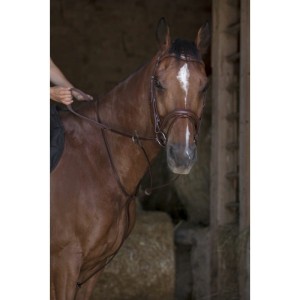 Wytok NORTON PRO