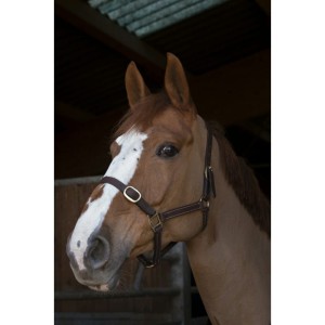 Kantar skórzany "CUIR"