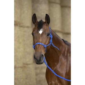Halter + lina "ECO"
