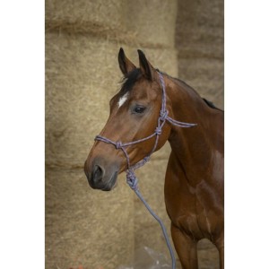 Halter + lina "ECO" 