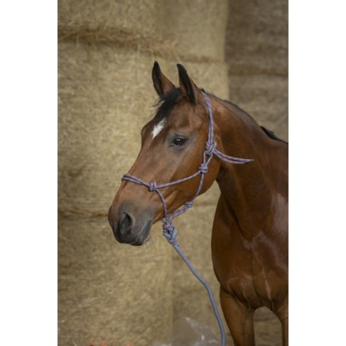 Halter + lina "ECO" 