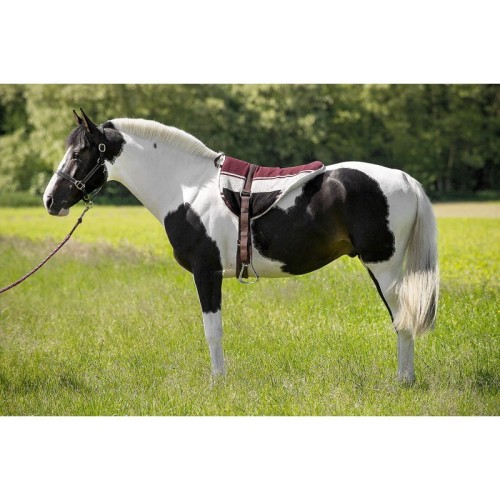 Pad do jazdy na oklep NORTON