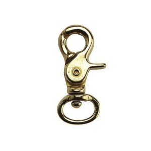 Karabińczyk meksykański