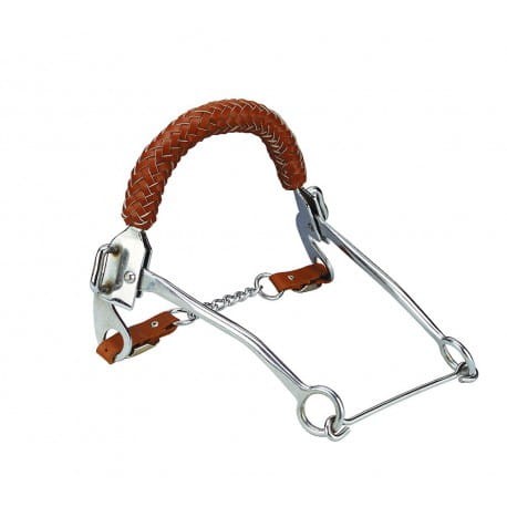 Hackamore FEELING