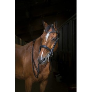 Ogłowie hybrydowe ERIC THOMAS