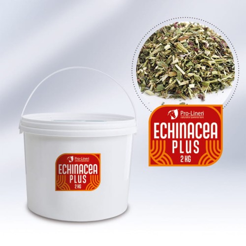 Echinacea  1kg - wzmacnia odporność