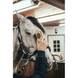 Szczotka do głowy BORSTIQ