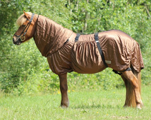 Derka  egzemowa "Icelandic"