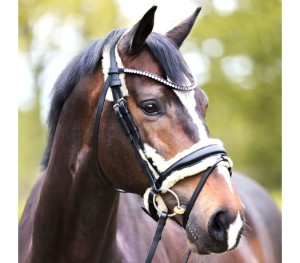  Uzda "Joyce" KavalSH4