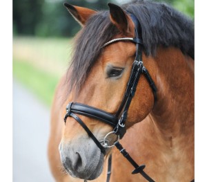  Ogłowie "Clinchesse" dla koni zimnokrwistych, czarno-srebrne
