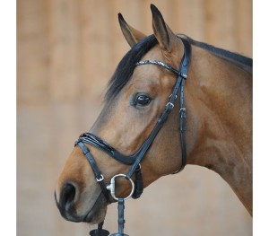 Ogłowie "Iwana" KavalSH4