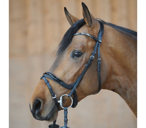 Ogłowie "Iwana" KavalSH4