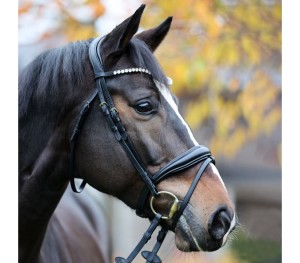  Ogłowie "Juliana" KavalSH4 