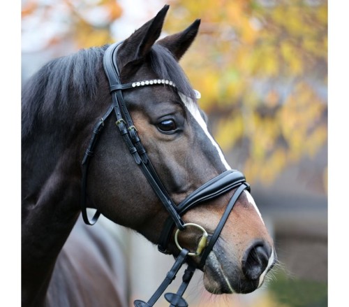  Ogłowie "Juliana" KavalSH4 