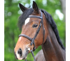 Ogłowie myśliwskie "Akila"