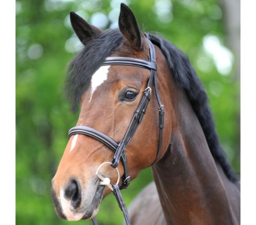 Ogłowie myśliwskie "Akila"