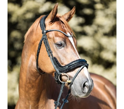  Ogłowie "Ivella" KavalSH4