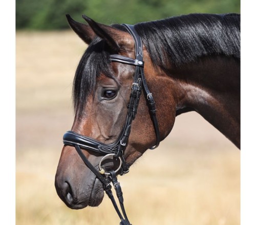  Ogłowie "Ivy Plus" KavalSH4